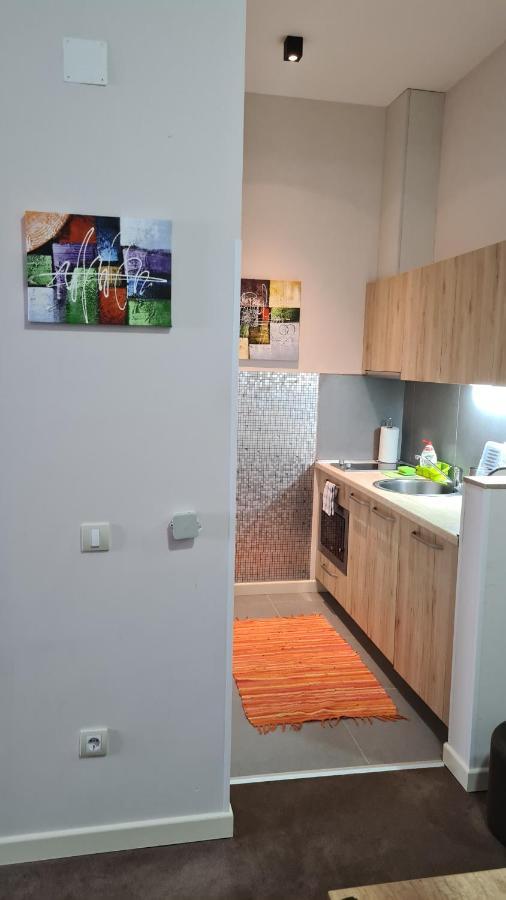 Apartman No1,Zupa Wellness & Spa Копаоник Екстериор снимка